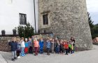 Žabe in Rdeče žoge na Sevniškem gradu